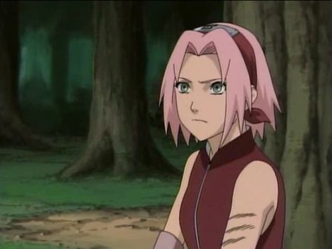 sakura-shippuuden.jpg